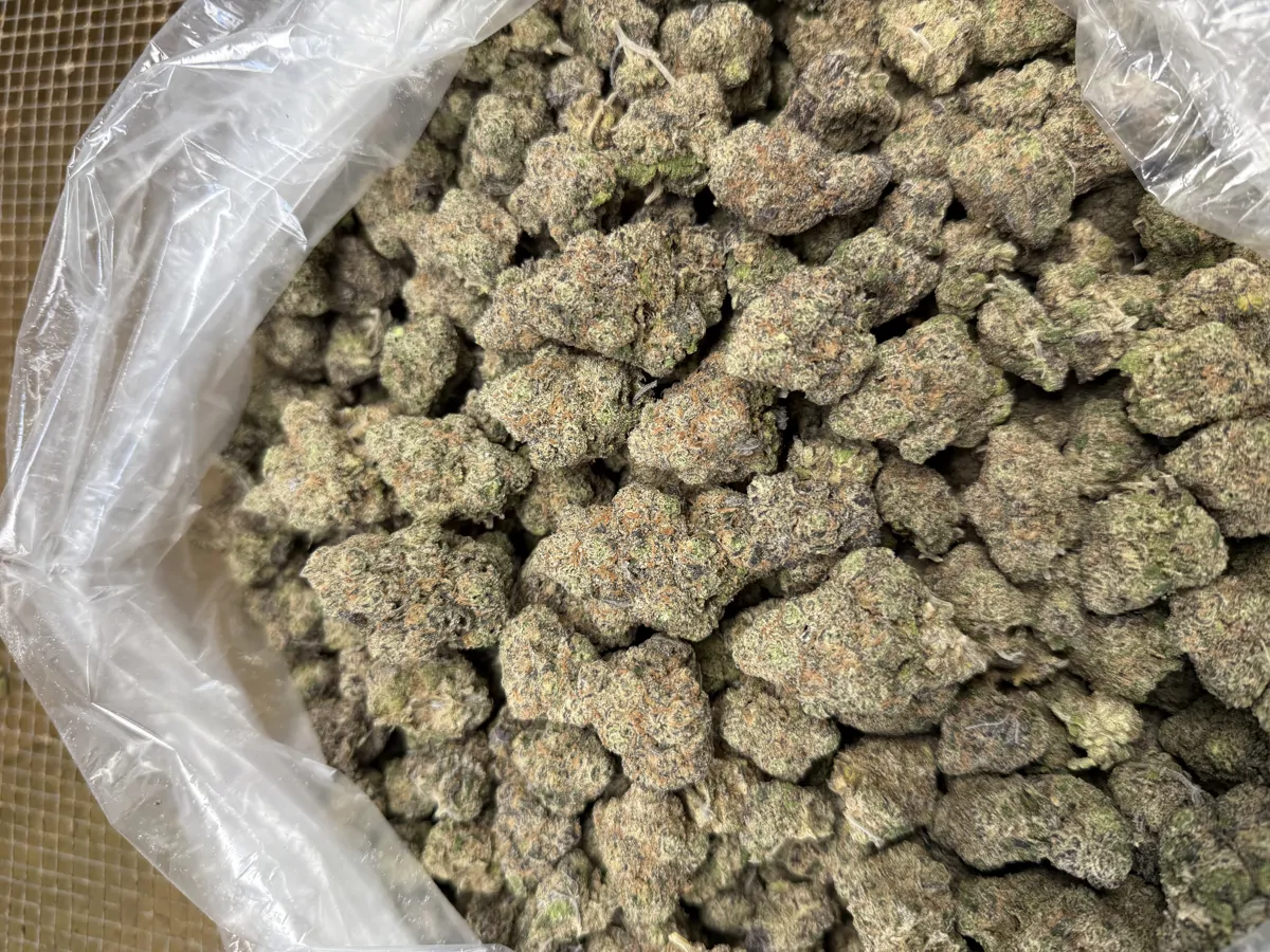 Grape Gas Flower